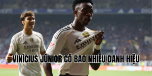 Vinícius Júnior có bao nhiêu danh hiệu